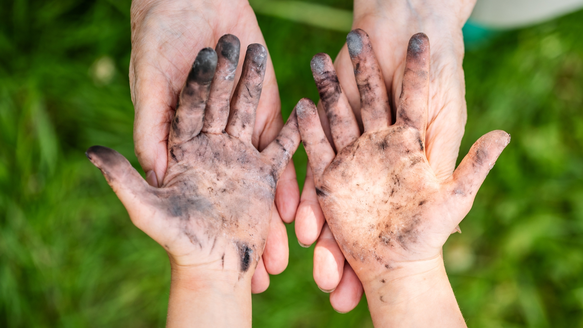 Faulty Stain Solutions – Mark 7:1-23